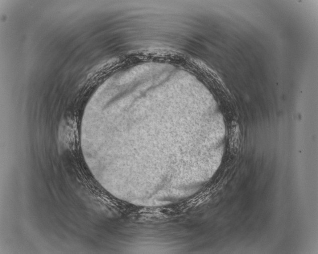 X0000085040918200703191229