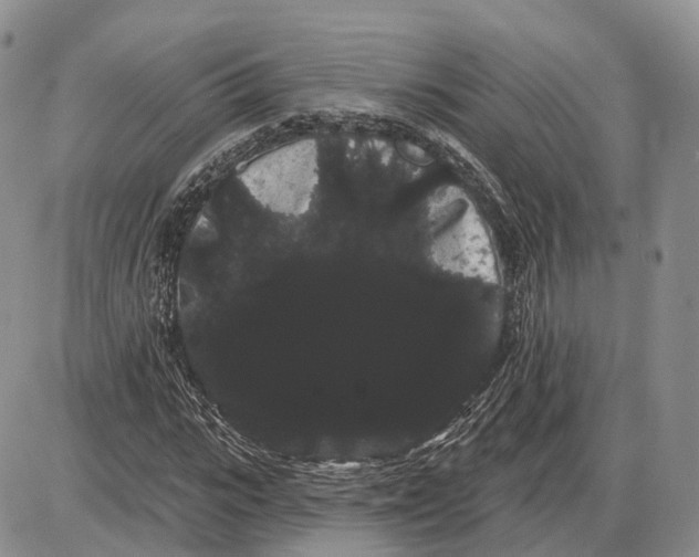 X0000085040919200703191229