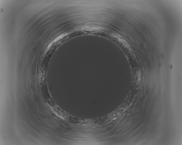 X0000085040920200703191229