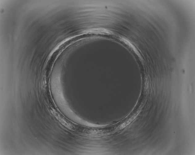 X0000085040923200703191229