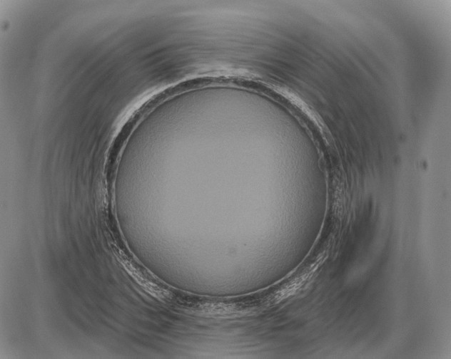 X0000085040927200703191229