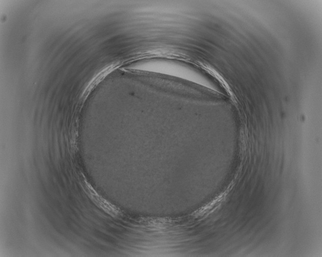 X0000085040930200703191229