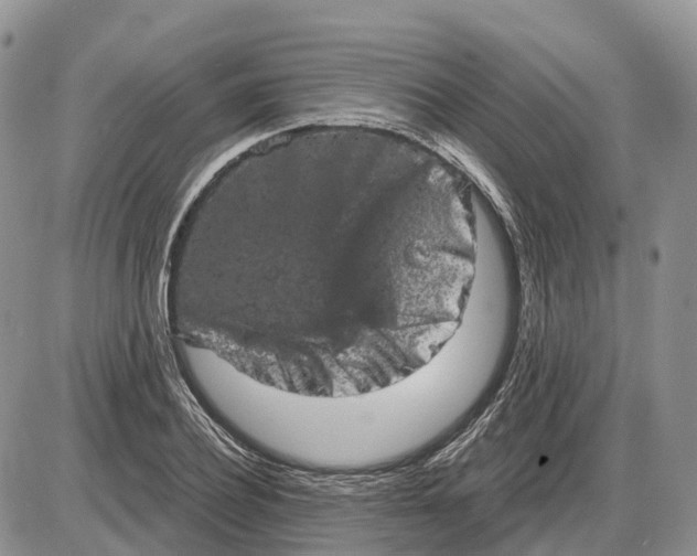 X0000085040932200703191229