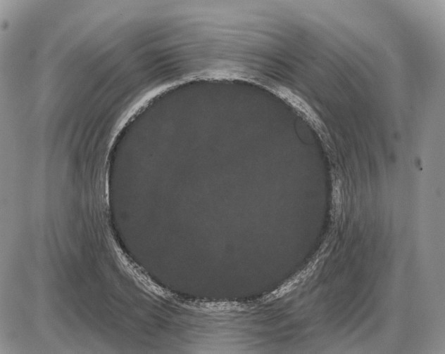 X0000085040934200703191229