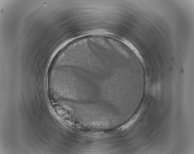 X0000085040939200703191229