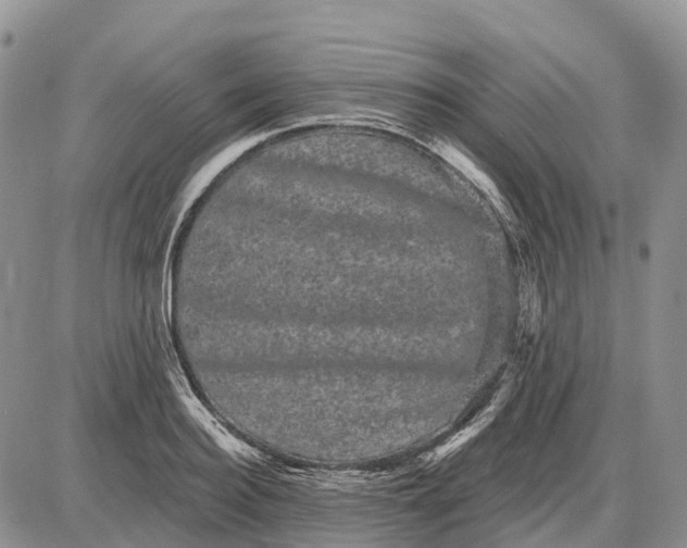 X0000085040940200703191229