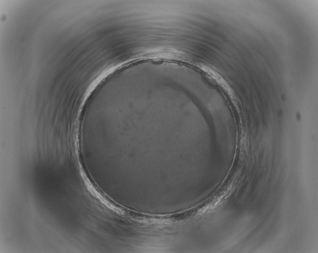 X0000085040941200703191229