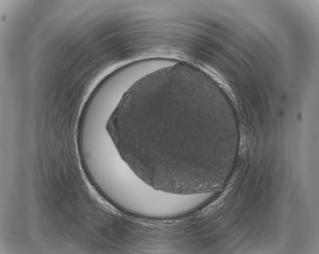 X0000085040942200703191229