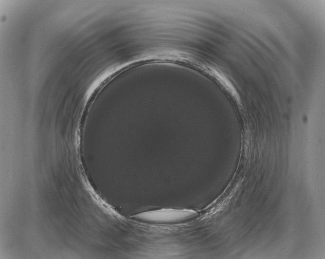 X0000085040944200703191229