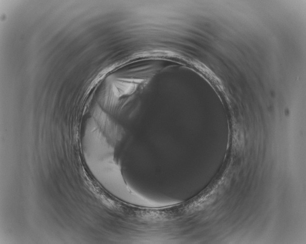 X0000085040945200703191229