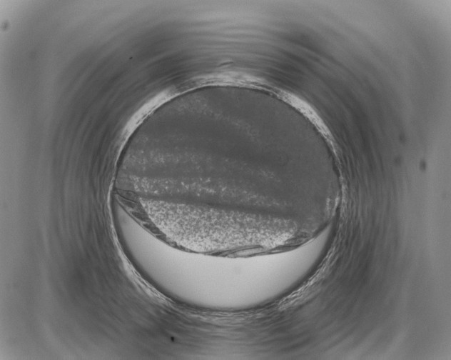 X0000085040946200703191229