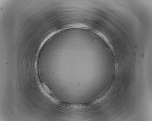 X0000085040947200703191229