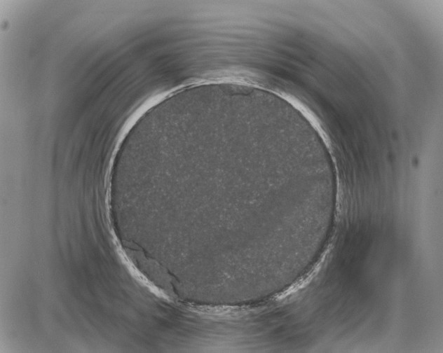 X0000085040949200703191229