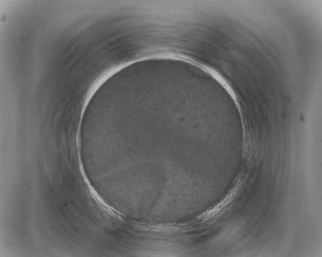 X0000085040951200703191229