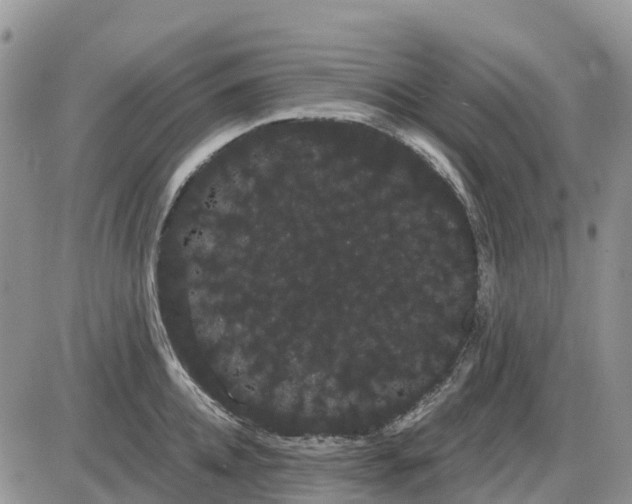 X0000085040952200703191230