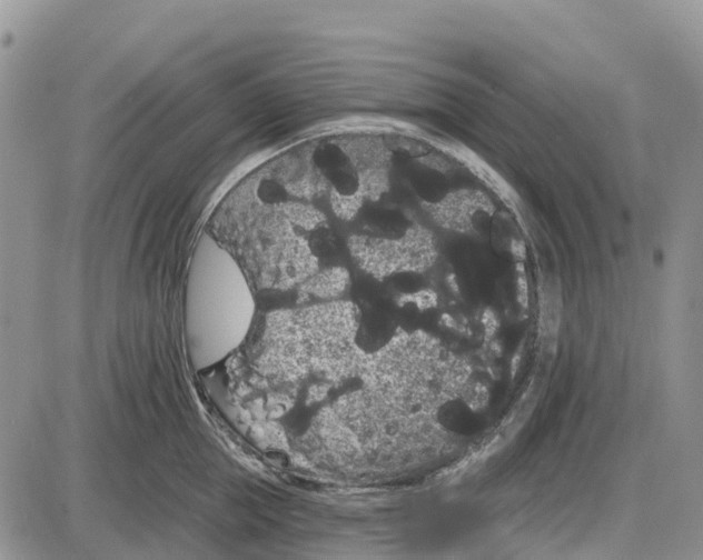 X0000085040953200703191230