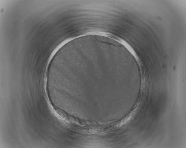 X0000085040955200703191230