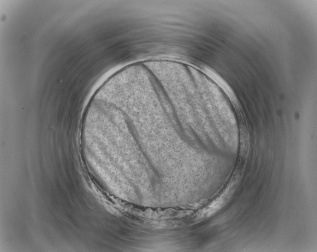 X0000085040956200703191230