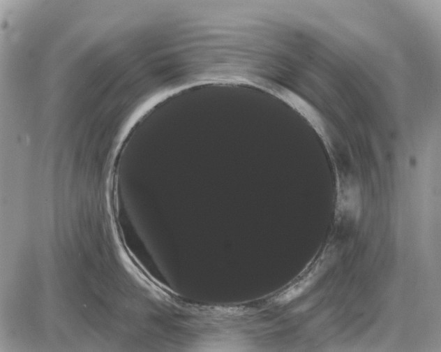 X0000085040958200703191230