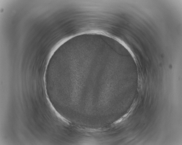 X0000085040959200703191230