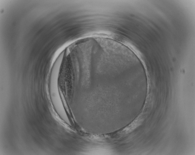 X0000085040960200703191230