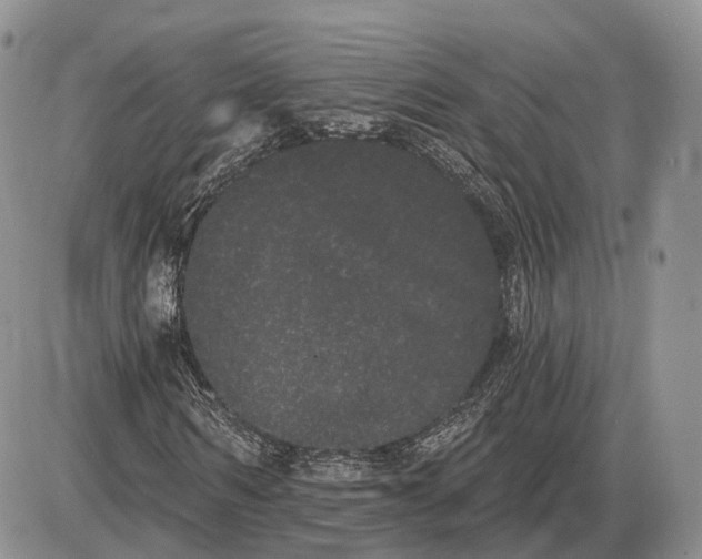 X0000085040962200703191229