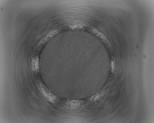 X0000085040963200703191229