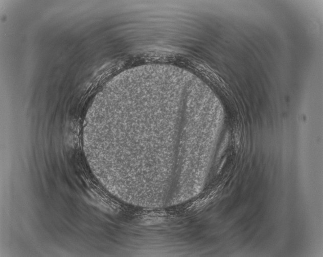 X0000085040964200703191229