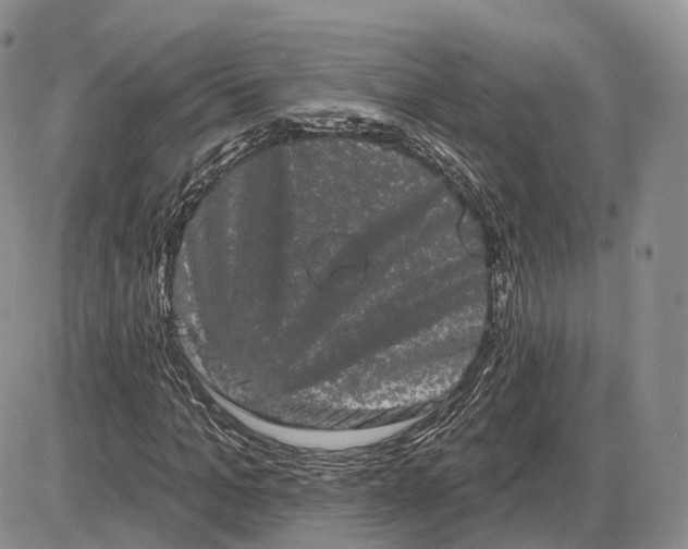 X0000085040965200703191229