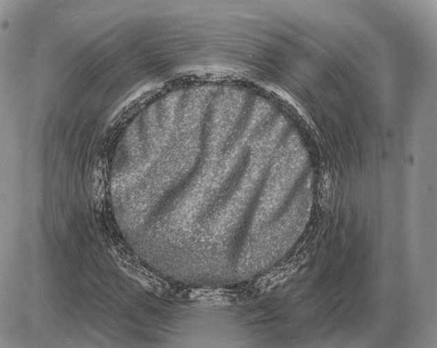 X0000085040967200703191229