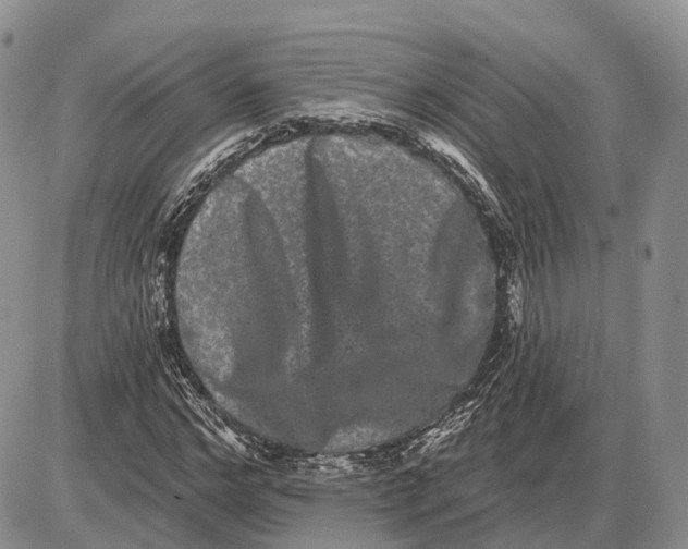 X0000085040968200703191229