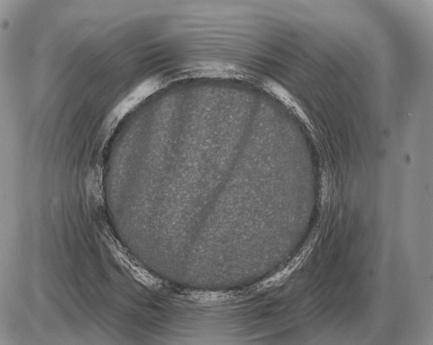 X0000085040970200703191229