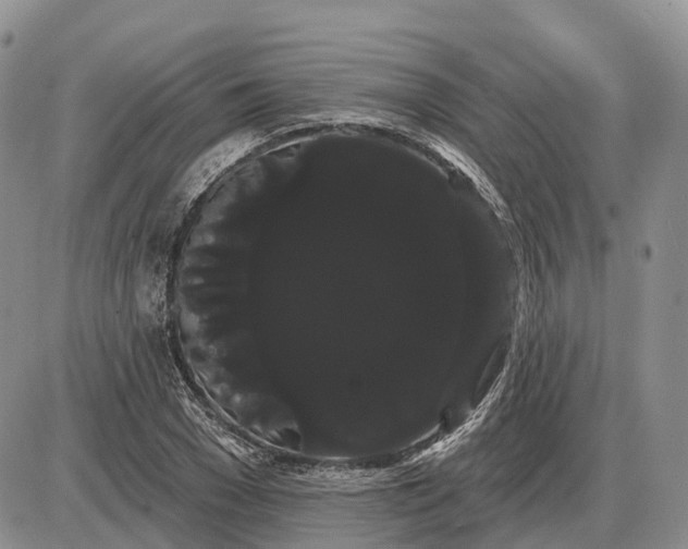 X0000085040977200703191229