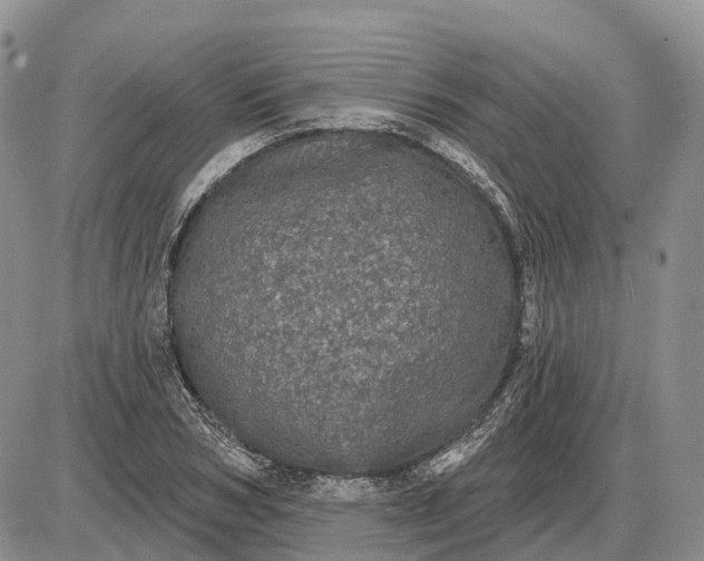 X0000085040978200703191229