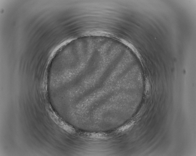 X0000085040979200703191229