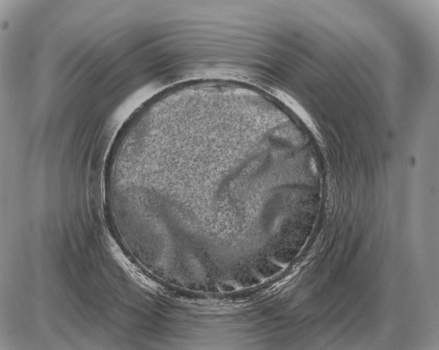 X0000085040980200703191229