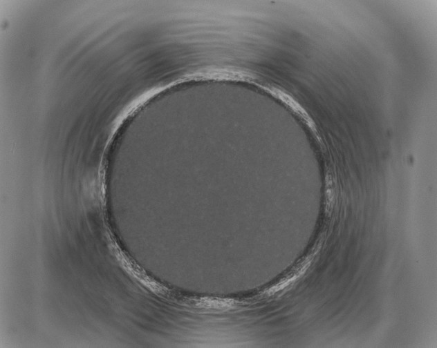 X0000085040981200703191229