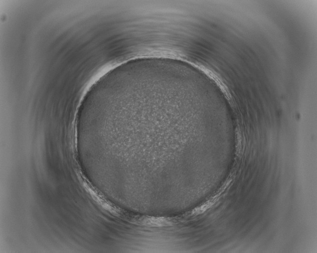 X0000085040982200703191228