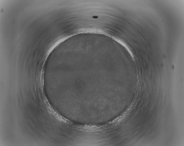 X0000085040983200703191228