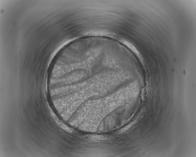 X0000085040984200703191228