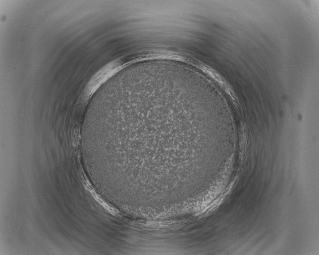 X0000085040985200703191228