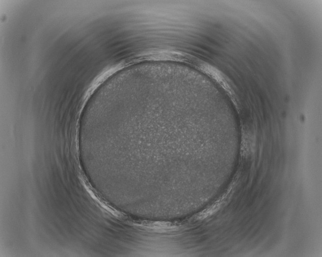 X0000085040986200703191228