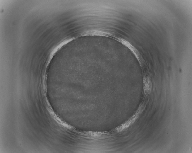 X0000085040987200703191228