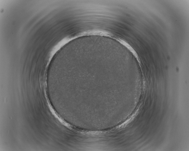 X0000085040989200703191228