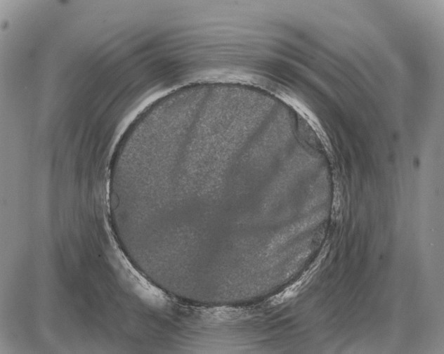 X0000085040992200703191228