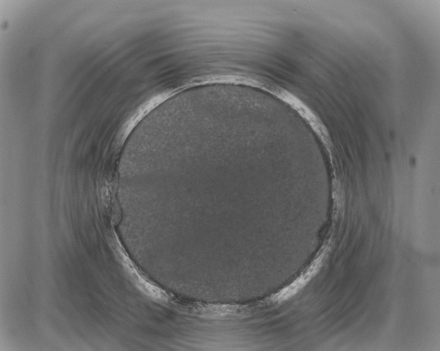 X0000085040993200703191228