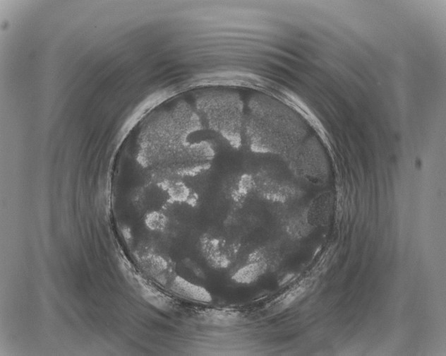 X0000085040994200703191228