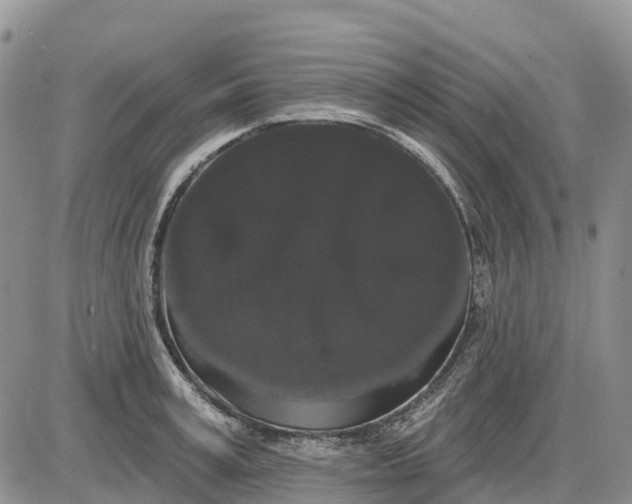 X0000085040995200703191228