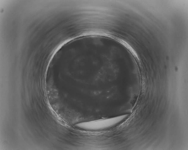 X0000085040996200703191228