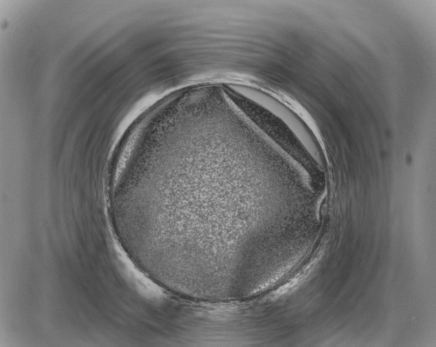 X0000085040997200703191228